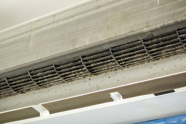 Best Affordable Duct Cleaning Services  in East Islip, NY